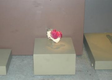 Rubies at the National Museum of Natural History, Washington, D.C., USA. Author: jheiv - Own work