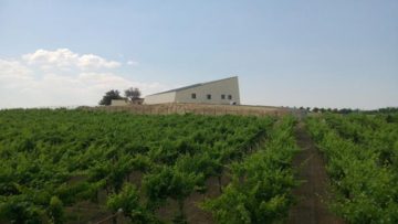 La Cantina Tor de’ Falchi