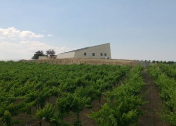 La Cantina Tor de’ Falchi