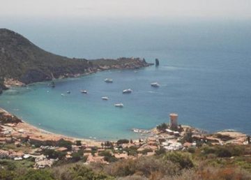 "Giglio Campese" di Poul Krogsgård - eget værk. Con licenza Pubblico dominio tramite Wikimedia Commons - http://commons.wikimedia.org/wiki/File:Giglio_Campese.JPG#/media/File:Giglio_Campese.JPG