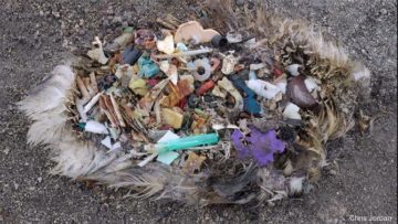 Immagine tratta dal video pubblicato dal sito web http://www.theoceancleanup.com/