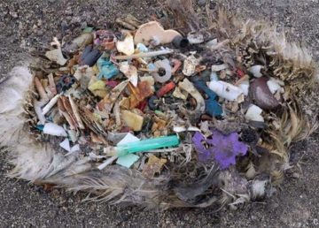 Immagine tratta dal video pubblicato dal sito web http://www.theoceancleanup.com/
