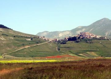 Castelluccio di Norcia. Panorama. Foto gentilmente concessa dall’autrice Mariangela Coccia.
