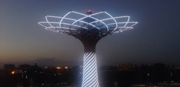 L’Albero della Vita – Foto Giuseppe Bellavia