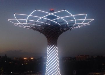 L’Albero della Vita – Foto Giuseppe Bellavia