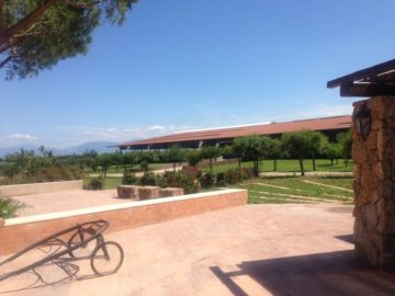 Copertina: L'azienda agricola Vannulo. Foto: Clio Morichini