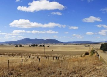 Campi coltivati in Australia danneggiati dalla siccità. GFDL 1.2, https://commons.wikimedia.org/w/index.php?curid=989680
