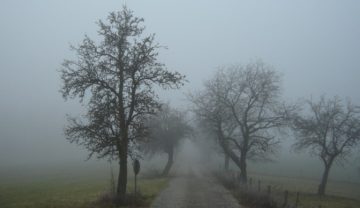 Nebbia. Foto di Florian K da de.wikipedia.org, CC BY-SA 3.0, https://commons.wikimedia.org/w/index.php?curid=4007292
