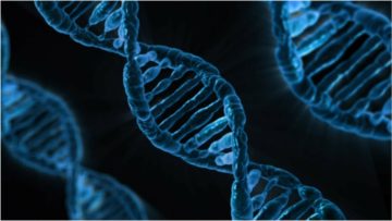 Immagine del DNA. Foto di Public Domain Pictures, (https://pixabay.com/it/dna-biologia-medicina-gene-163466/) attraverso Pixabay.com