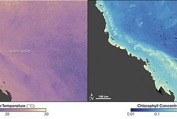 Sea temperature and bleaching of the Great Barrier ReefBy Norman Kuring and Robert Simmon, based on data provided by Scarla Weeks, University of Queensland - http://earthobservatory.nasa.gov/Newsroom/NewImages/images.php3?img_id=17237, Public Domain, https://commons.wikimedia.org/w/index.php?curid=736969