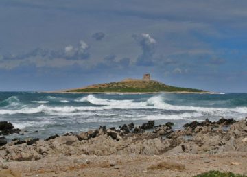 Foto di Carlo Columba [Isola delle Femmine, http://www.columba.it uploaded by Esculapio (http://galleriafotograficasiciliana.eu) [CC BY-SA 2.5 (http://creativecommons.org/licenses/by-sa/2.5)], via Wikimedia Commons