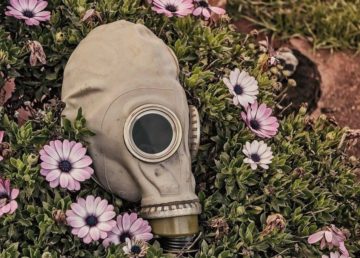 Joshua Wilson, Maschera Giardino, Pixabay