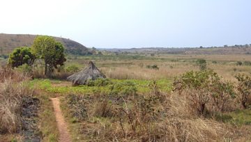 Countryside near Ngaoundal in Cameroon's Adamawa Region. CC BY-SA 3.0, https://commons.wikimedia.org/w/index.php?curid=229753