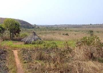 Countryside near Ngaoundal in Cameroon's Adamawa Region. CC BY-SA 3.0, https://commons.wikimedia.org/w/index.php?curid=229753