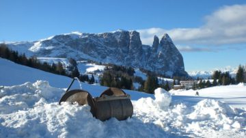 Il massiccio dello Sciliar vista dall’Alpe di Siusi, 31 dicembre 2008, foto di Luiclemens at en.wikipedia , CC-BY-SA-3.0; Released under the GNU Free Documentation License