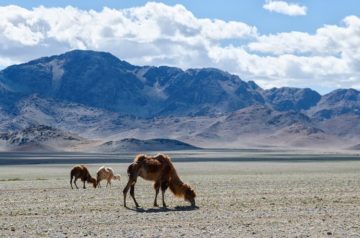 Mongolia, Ya_mayka, Pixabay