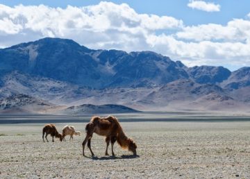 Mongolia, Ya_mayka, Pixabay
