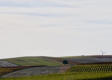 Colline Siciliane – Fonte: Clio Morichini