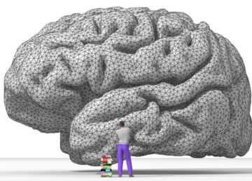 Rendering of human brain. https://it.wikipedia.org/wiki/Comunicazione#/media/File:Nicolas_P._Rougier%27s_rendering_of_the_human_brain.png