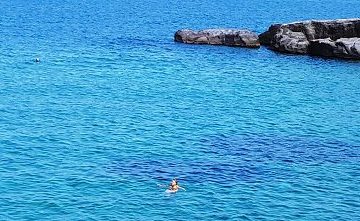 Ischia, il mare. Foto di Silvia Mauro, riproduzione vietata