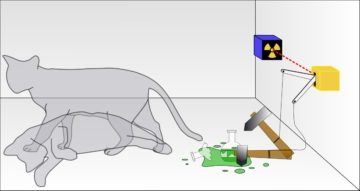 Il paradosso del gatto di Schrödinger illustrato con il gatto in sovrapposizione tra gli stati "vivo" e "morto" Di Dhatfield - Opera propria, CC BY-SA 3.0, https://commons.wikimedia.org/w/index.php?curid=4279886