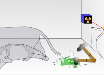 Il paradosso del gatto di Schrödinger illustrato con il gatto in sovrapposizione tra gli stati "vivo" e "morto" Di Dhatfield - Opera propria, CC BY-SA 3.0, https://commons.wikimedia.org/w/index.php?curid=4279886