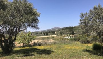 Nemea. fonte: Clio Morichini