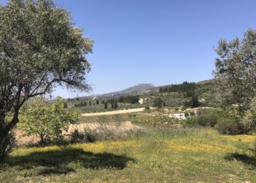 Nemea. fonte: Clio Morichini