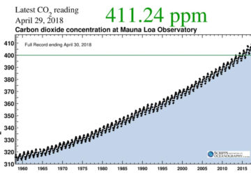 Recent CO2 measurements at Mauna Loa Observatory in Hawaii. (Scripps Institution of Oceanography)